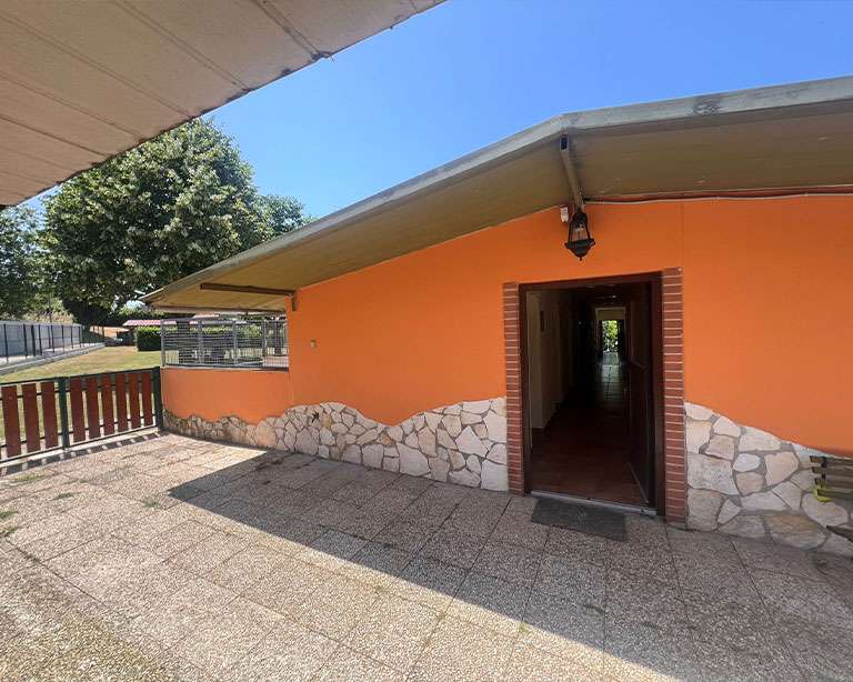 pensione_per_cani_01