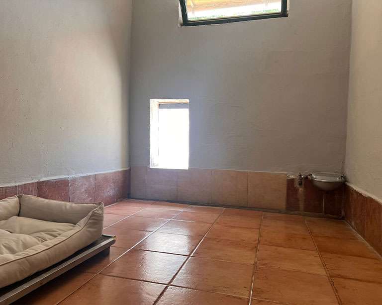 pensione_per_cani_02