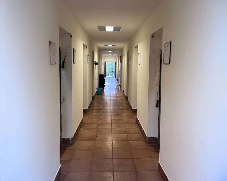 pensione_per_cani_03