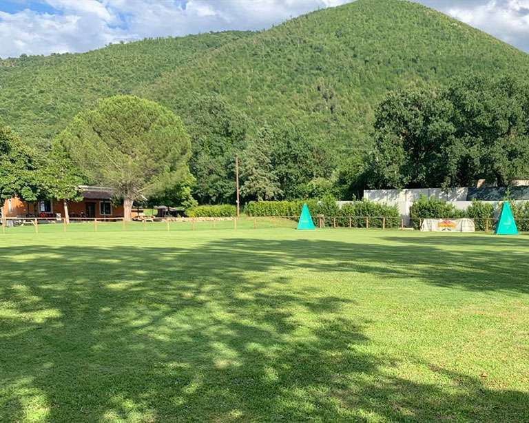 pensione_per_cani_04